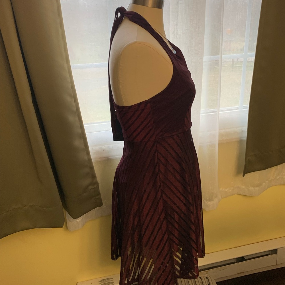 DRESS FROM INSNOVA. NWT - Picture 2 of 13
